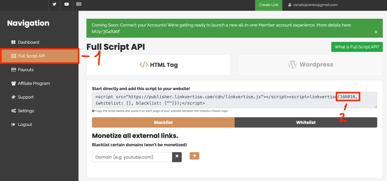 Linkvertise Full Script API Example